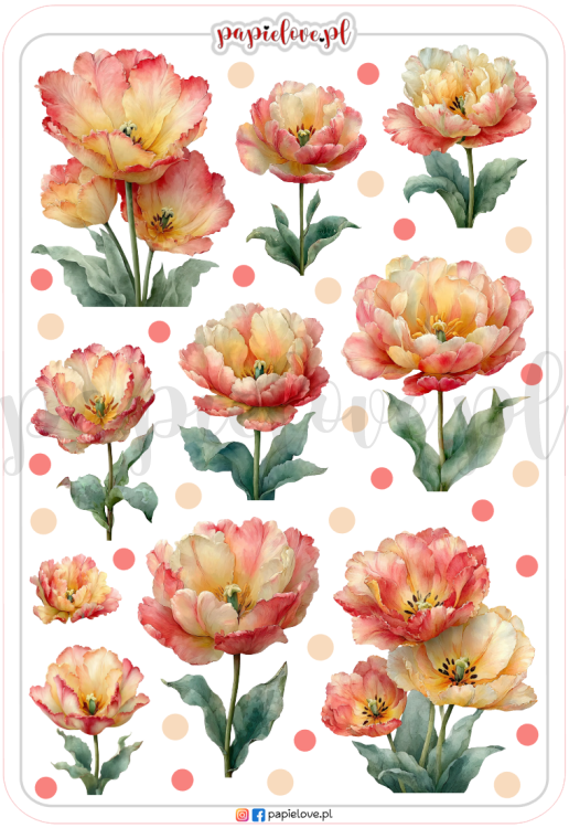 Naklejki - Tulipany papuzie.png