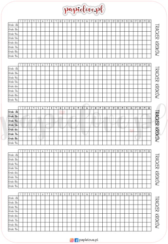 Tracker kroków 30.png