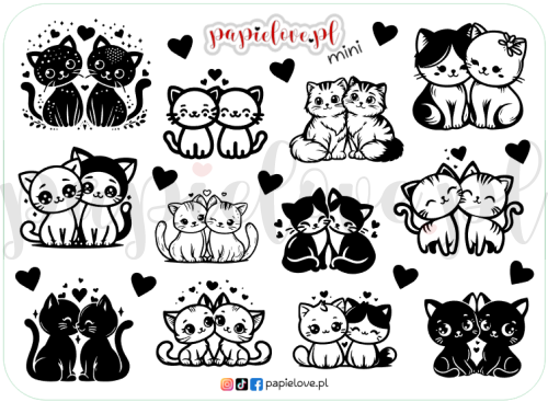 Kotki mini.png