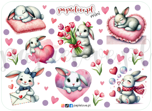 Króliczki mini.png
