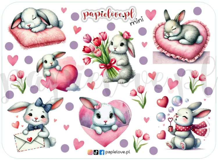 Króliczki mini.png