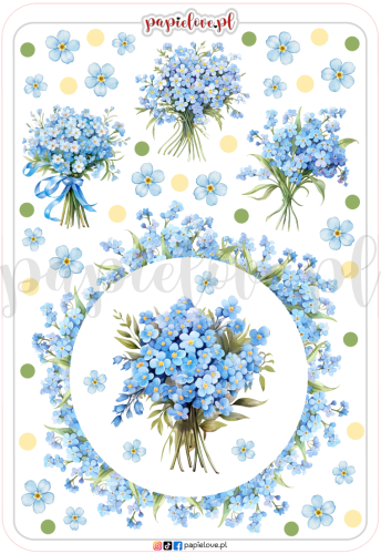 Niezapominajki 2.png