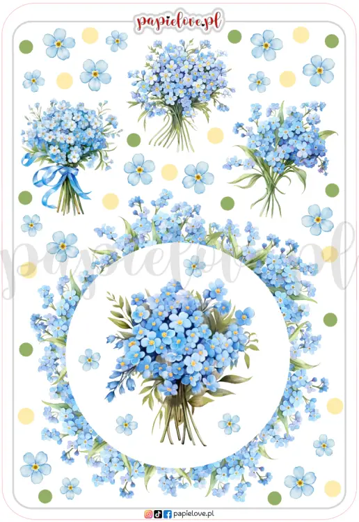 Niezapominajki 2.png