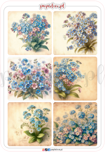 Niezapominajki 4.png