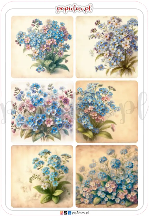 Niezapominajki 4.png