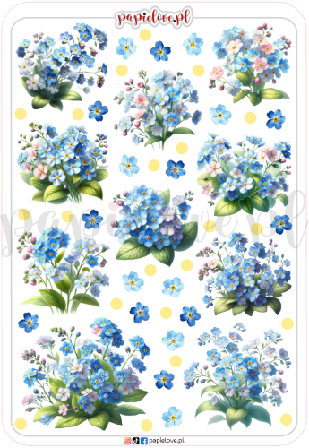 Niezapominajki 5.png