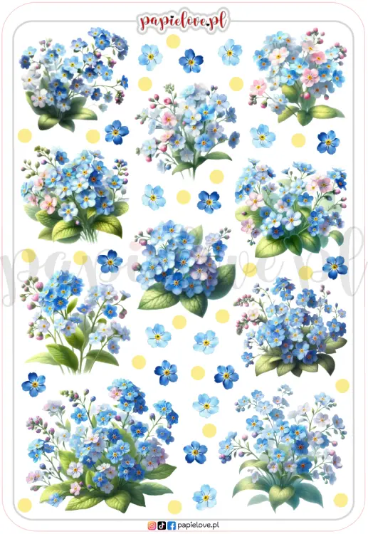 Niezapominajki 5.png