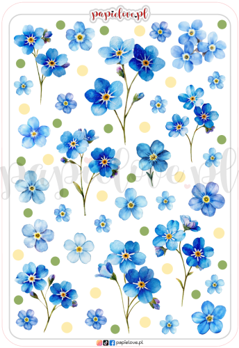 Niezapominajki 10.png