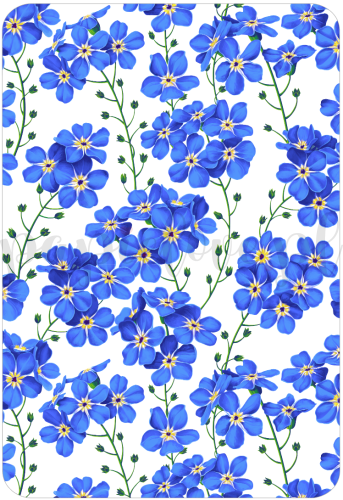 Tło - Niezapominajki 1.png