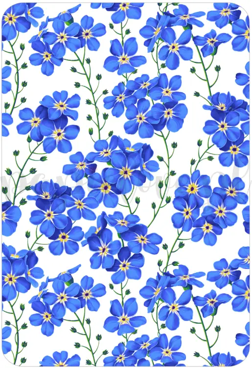 Tło - Niezapominajki 1.png