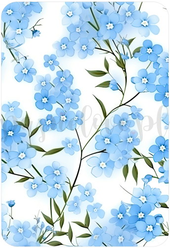 Tło - Niezapominajki 2.png