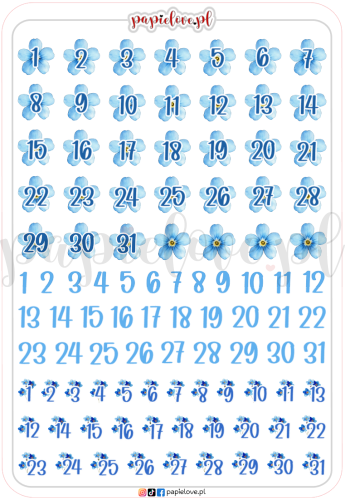 Cyferki - Niezapominajki.png