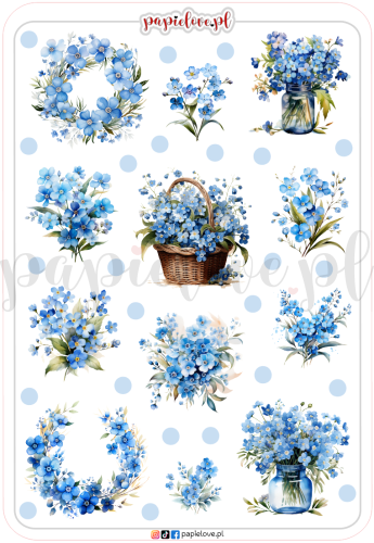 Niezapominajki 1.png