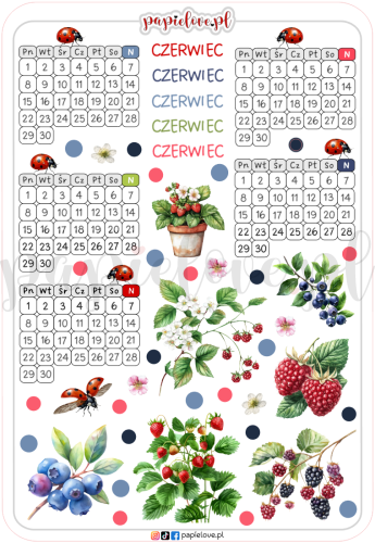 Kalendarze czerwiec - Owoce jagodowe.png