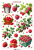 Maliny 5.png