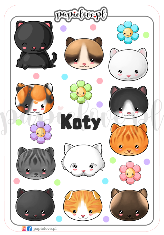 Koty kawaii.png