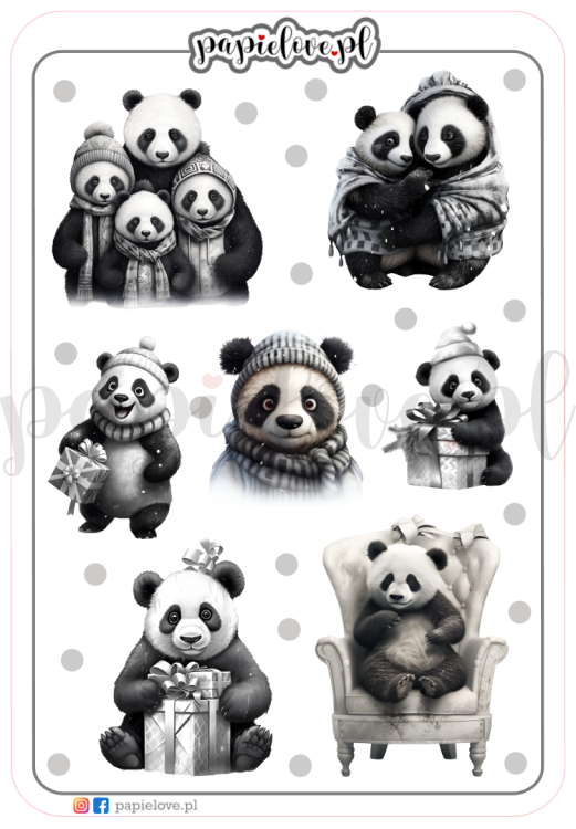 Pandy 1.png