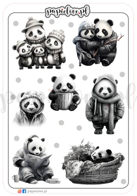 Pandy 2.png