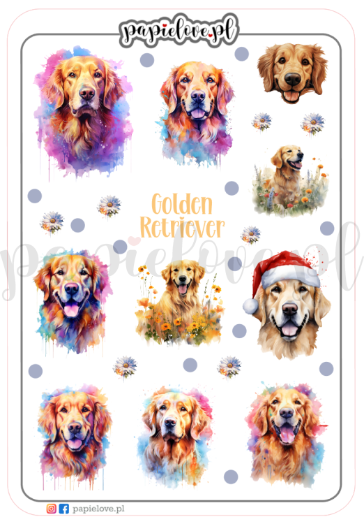 Golden Retriever 1.png