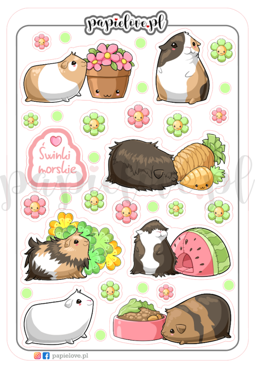 Świnki morskie kawaii.png