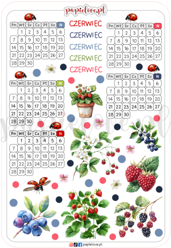 Naklejki - Kalendarze na czerwiec 2027 - Owoce jagodowe