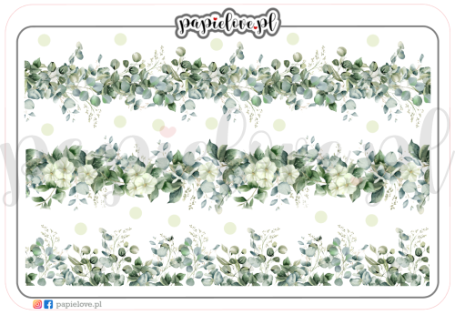 Bordery - eukaliptus.png