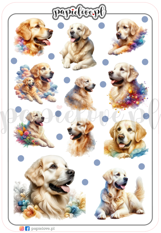 Golden Retriever 1.png