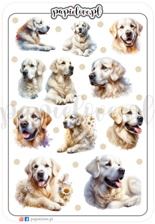 Golden Retriever 2.png