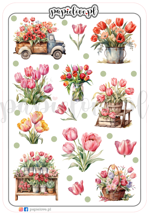 Tulipany 1.png