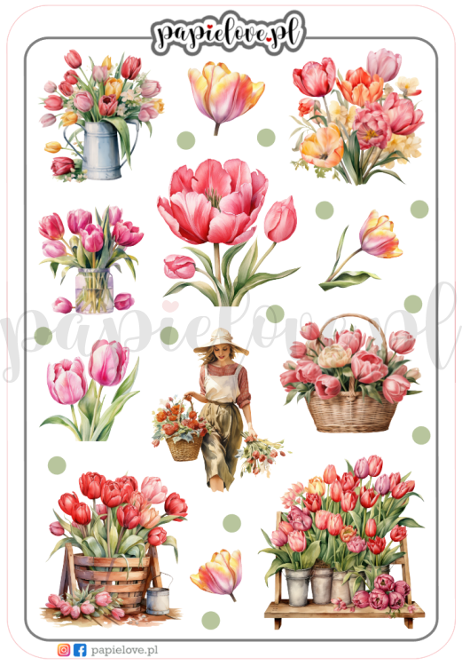 Tulipany 2.png
