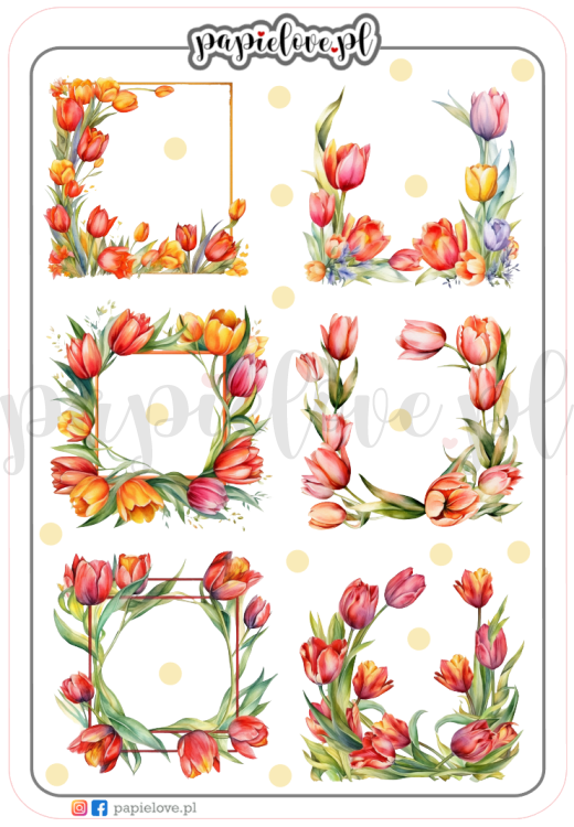 Tulipany 3.png