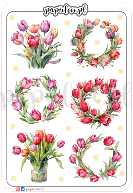 Tulipany 4.png