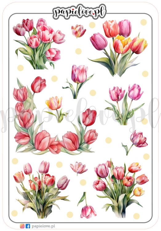 Tulipany 5.png