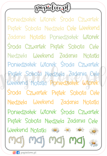 Stokrotki - dni tygodnia.png