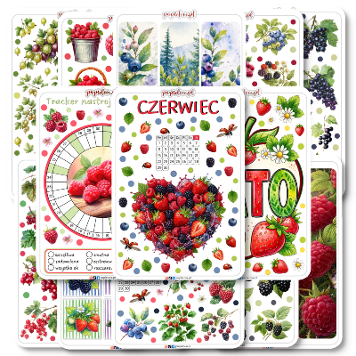 Zestaw kolorowych naklejek do Bullet Journal i planera na czerwiec i lato od Papielove.pl. Arkusze zawierają letnie naklejki z owocami (maliny, truskawki, jagody, porzeczki), kalendarz na czerwiec, okrągły tracker nastroju (mood tracker) oraz ozdobne grafiki i napisy w klimacie owocowym i wakacyjnym do scrapbookingu.