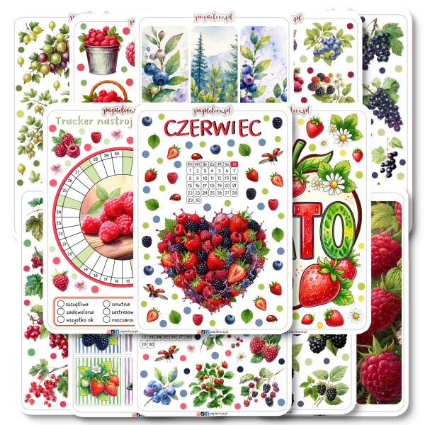 Zestaw kolorowych naklejek do Bullet Journal i planera na czerwiec i lato od Papielove.pl. Arkusze zawierają letnie naklejki z owocami (maliny, truskawki, jagody, porzeczki), kalendarz na czerwiec, okrągły tracker nastroju (mood tracker) oraz ozdobne grafiki i napisy w klimacie owocowym i wakacyjnym do scrapbookingu.